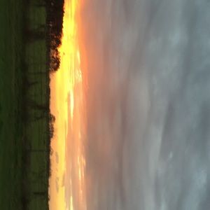 Meet your Posher, Dalia